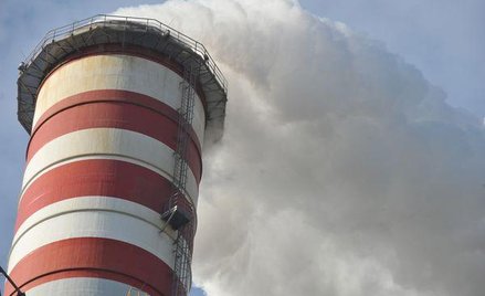 Vattenfall nie będzie zainteresowany przejęciem Enei