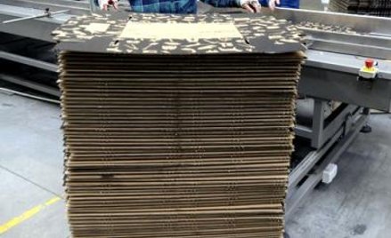Trzy razy drożej za brak recyklingu folii i palet
