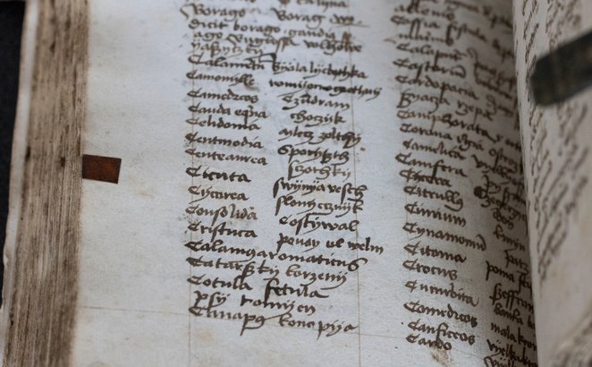 To, co dziś może wydawać się nowe, a dla niektórych kontrowersyjne, było w naszym języku u jego zara