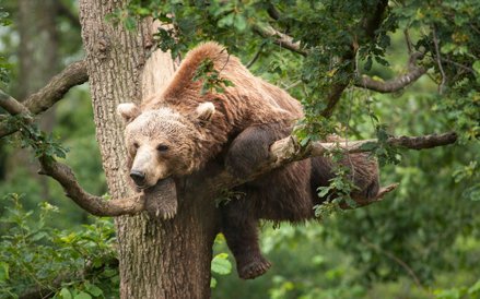 Zdjęcia do „Królestwa” kręcone na Podlasiu to ok. 10 proc. całego filmu.