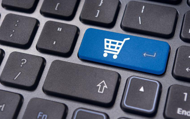 Cena przyciąga klientów do polskich e-sklepów