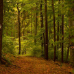 Dla części obszarów Natura 2000 nie zostały ustanowione plany ochrony