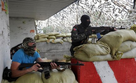 Plotki o polskich psach wojny