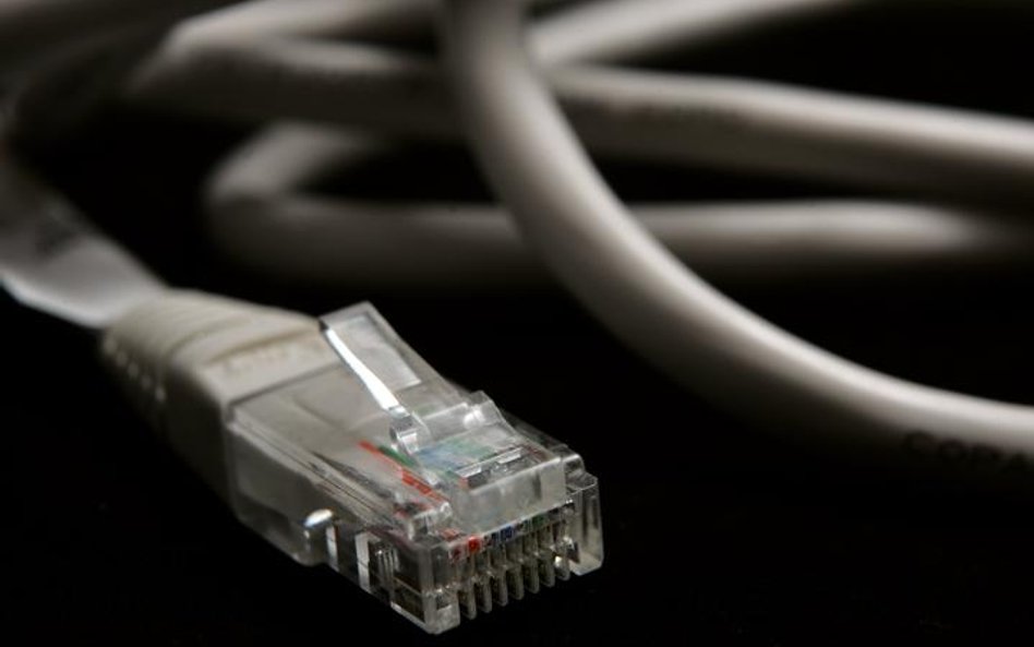 Rekordowy rok pod względem liczby internetowych wirusów