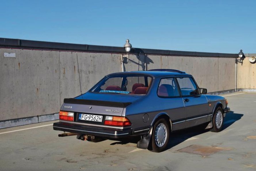 Krokodyl wciąż zachwyca formą, widać, że jest wychuchany.