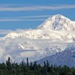 Denali