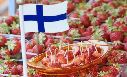 Fiński rząd przeszkodzi w reanimacji strefy euro?