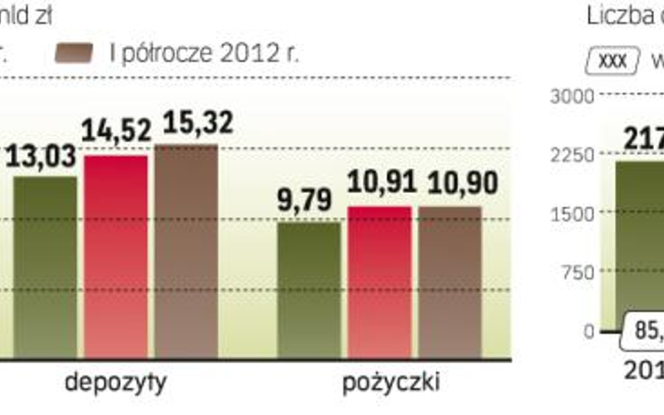 Wkrótce audytorzy zweryfikują dane dotyczące spółdzielczych kas