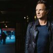 Sting. Wolny człowiek