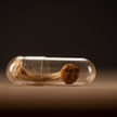 Ecstasy i psylocybina na receptę? W Australii to możliwe
