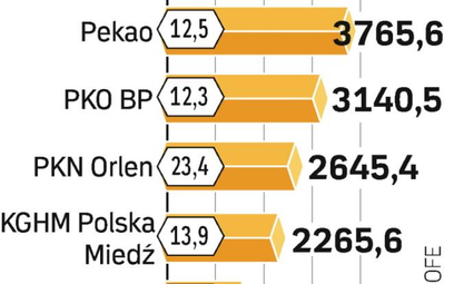 Duże inwestycje OFE