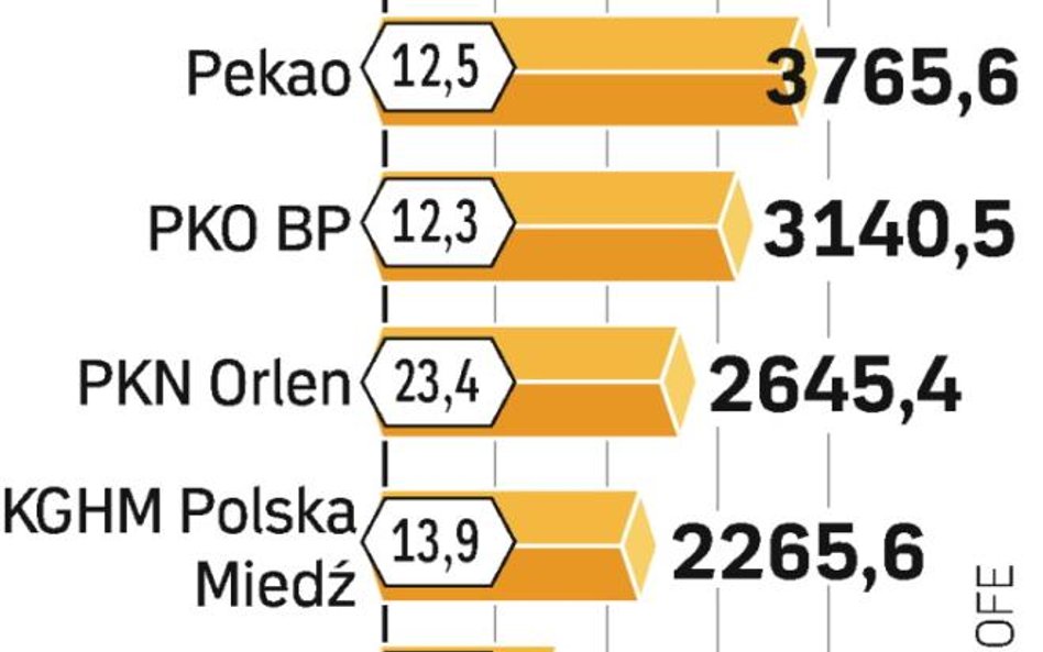 Duże inwestycje OFE