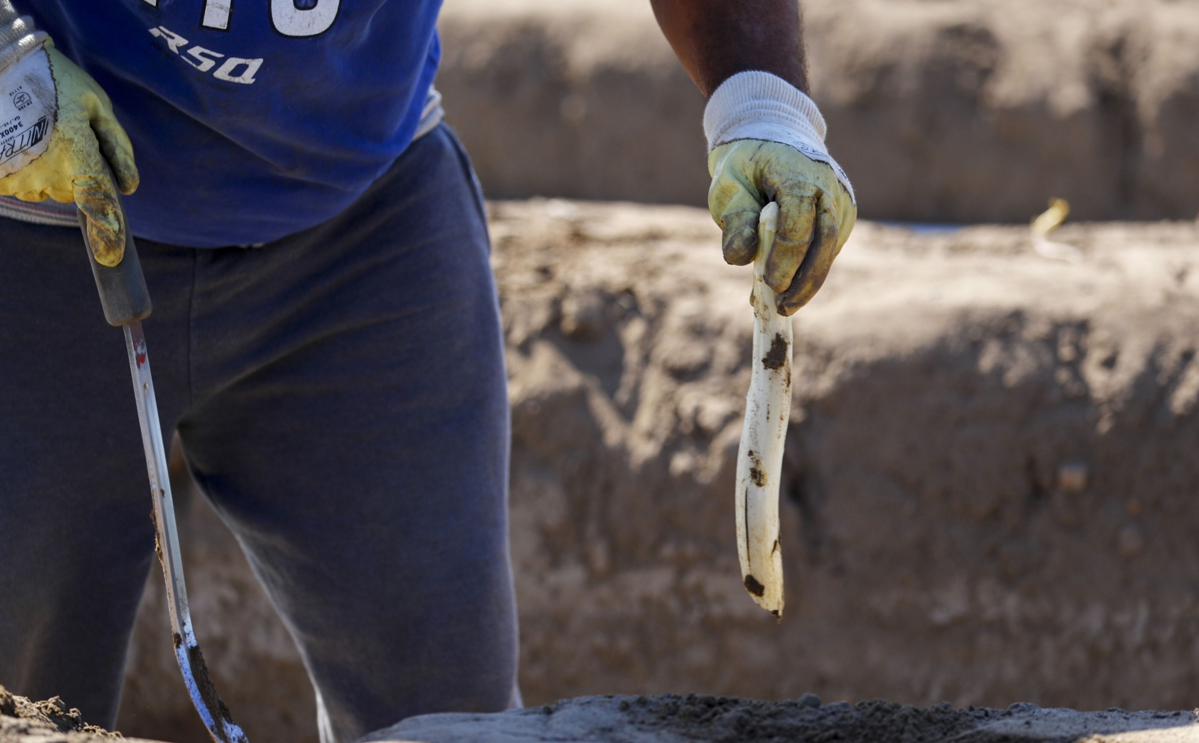 Sezonowe wakacyjne zajęcia zaczynają tracić na znaczeniu