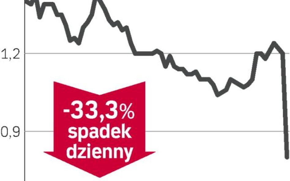 Opcje pociągnęły w dół akcje Dudy