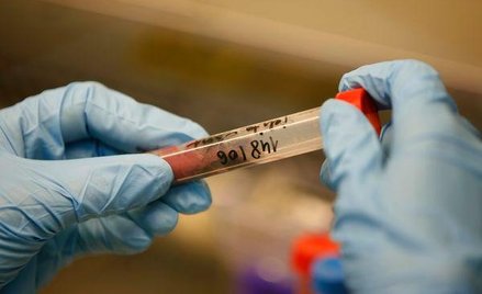 Nadal nie wiadomo czy Polpharma zdecyduje się na przejęcie Fisiopharmy i Pharmateksu