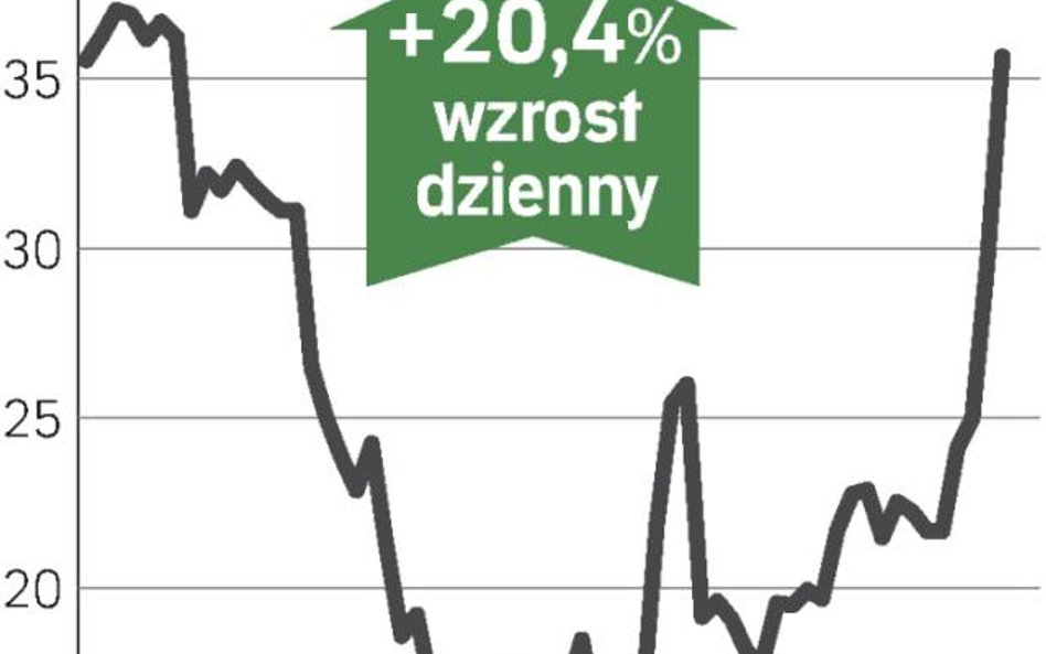 W górę przed walnym zgromadzeniem