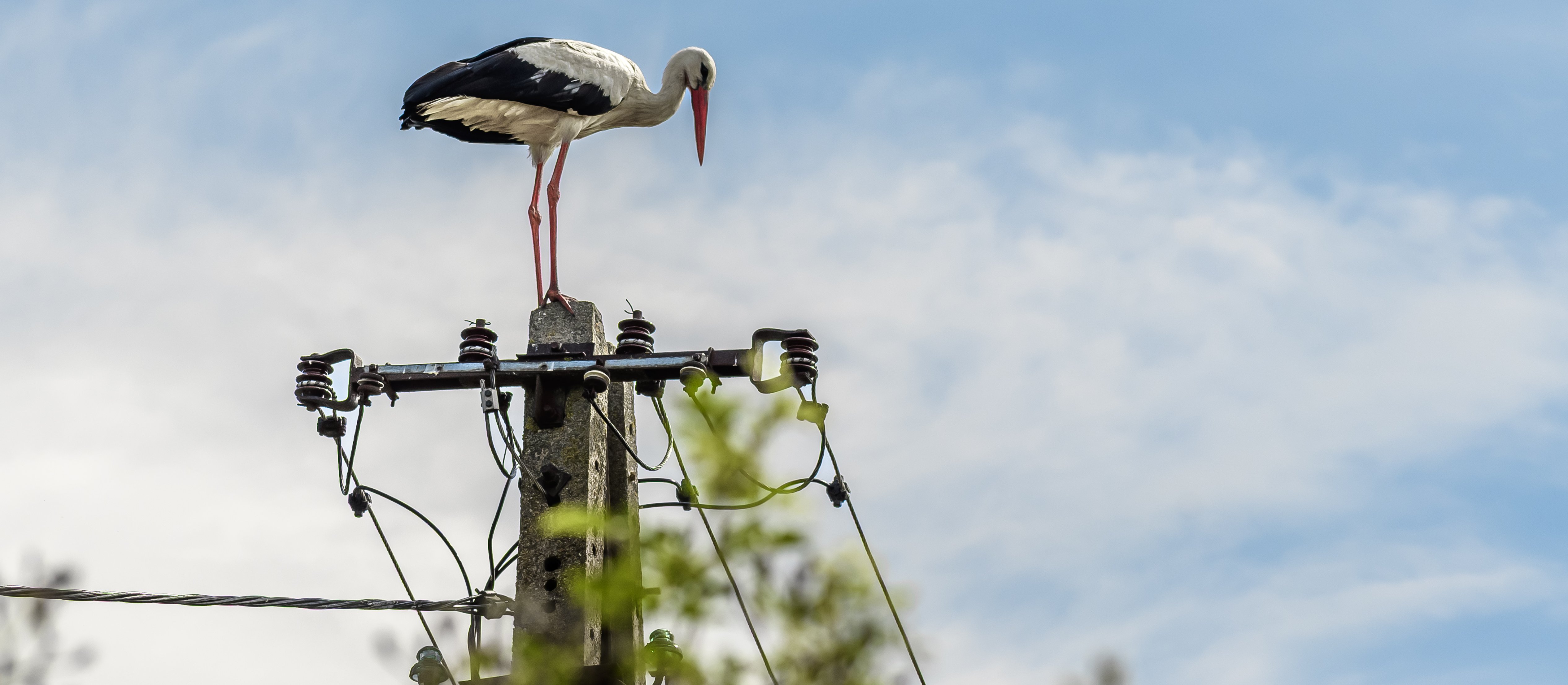 Jacek Szymczak: Służebność przesyłu to nie nowe „kredyty frankowe”