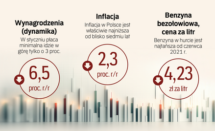 Jaki dla gospodarki będzie styczeń 2026 r. Co zrobi RPP? Prognozy "Rz"