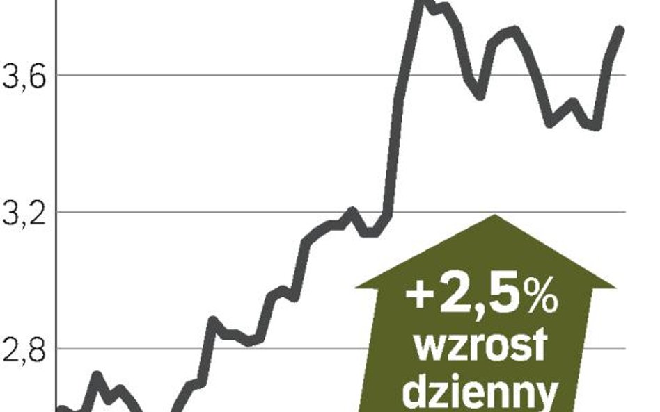 Kurs rośnie po informacji o dotacji