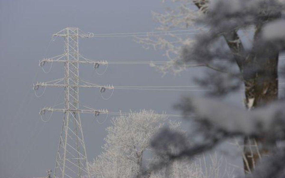 Prywatyzowana Energa chwali się rekordowymi wynikami