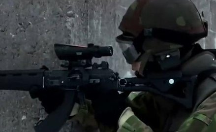 Finowie chcą unii wojskowej ze Szwecją