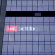 Akcje XTB biją rekordy. Analityk: Wyniki za I kwartał mogą być rekordowe