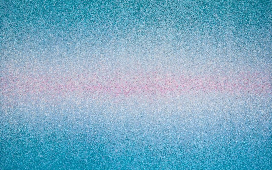 Joanna Borkowska, Pole 2013, olej na płótnie, 140x100cm - fot. Monika Rokicka