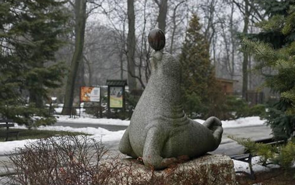 Kamienna foka z warszawskiego zoo