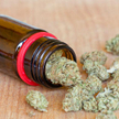 Sondaż: Polacy za legalizacją marihuany