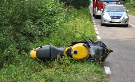 Po zderzeniu z bocianem, motocylista stracił panowanie nad pojazdem i wylądował na poboczu. Ptak nie