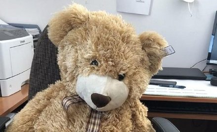 Policja z Grójca szuka właściciela pluszowego misia, którego znaleziono na drodze. Zgłoszenie dotycz