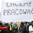 W listopadzie więcej firm szukało pracowników