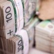 Rząd odda obywatelom 100 proc. oszczędności z OFE? To ważne dla PPK