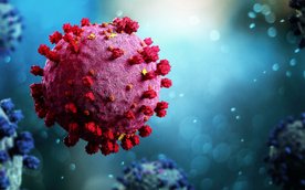 Analiza danych za rok 2025 wskazuje na dużą zmienność stężenia wirusa w ściekach.