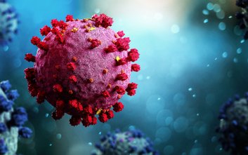 Analiza danych za rok 2025 wskazuje na dużą zmienność stężenia wirusa w ściekach.