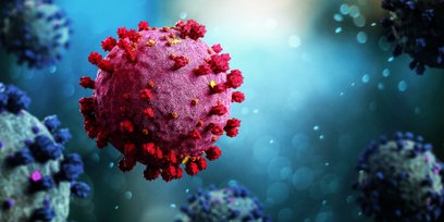 Analiza danych za rok 2025 wskazuje na dużą zmienność stężenia wirusa w ściekach.