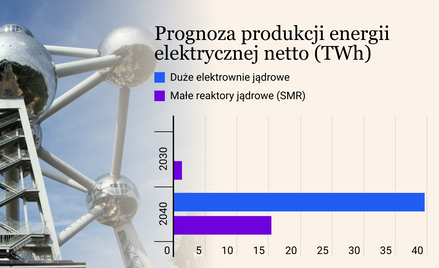 Rozwój małego atomu w Polsce zwolnił. Nie tylko za sprawą audytów