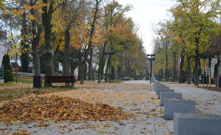 Rogowski, Joński: Idzie jesień...I kolejna fala koronawirusa