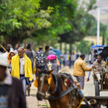 Etiopia chce w ciągu jednego dnia posadzić 200 mln drzew