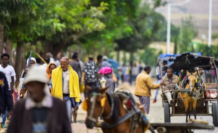 Etiopia chce w ciągu jednego dnia posadzić 200 mln drzew