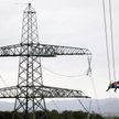Grupa zakupowa Polimerowa Energia chce rozwijać swój koncept biznesowy także za granicą. Na pierwszy