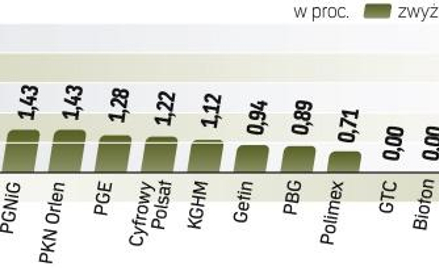 Większość spółek mocno zyskała na wartości. Gorzej radziły sobie papiery mniejszych firm, których in