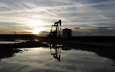 IEA: cena ropa wciąż zbyt wysoka
