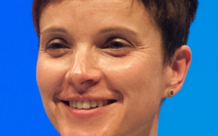 Frauke Petry, AfD