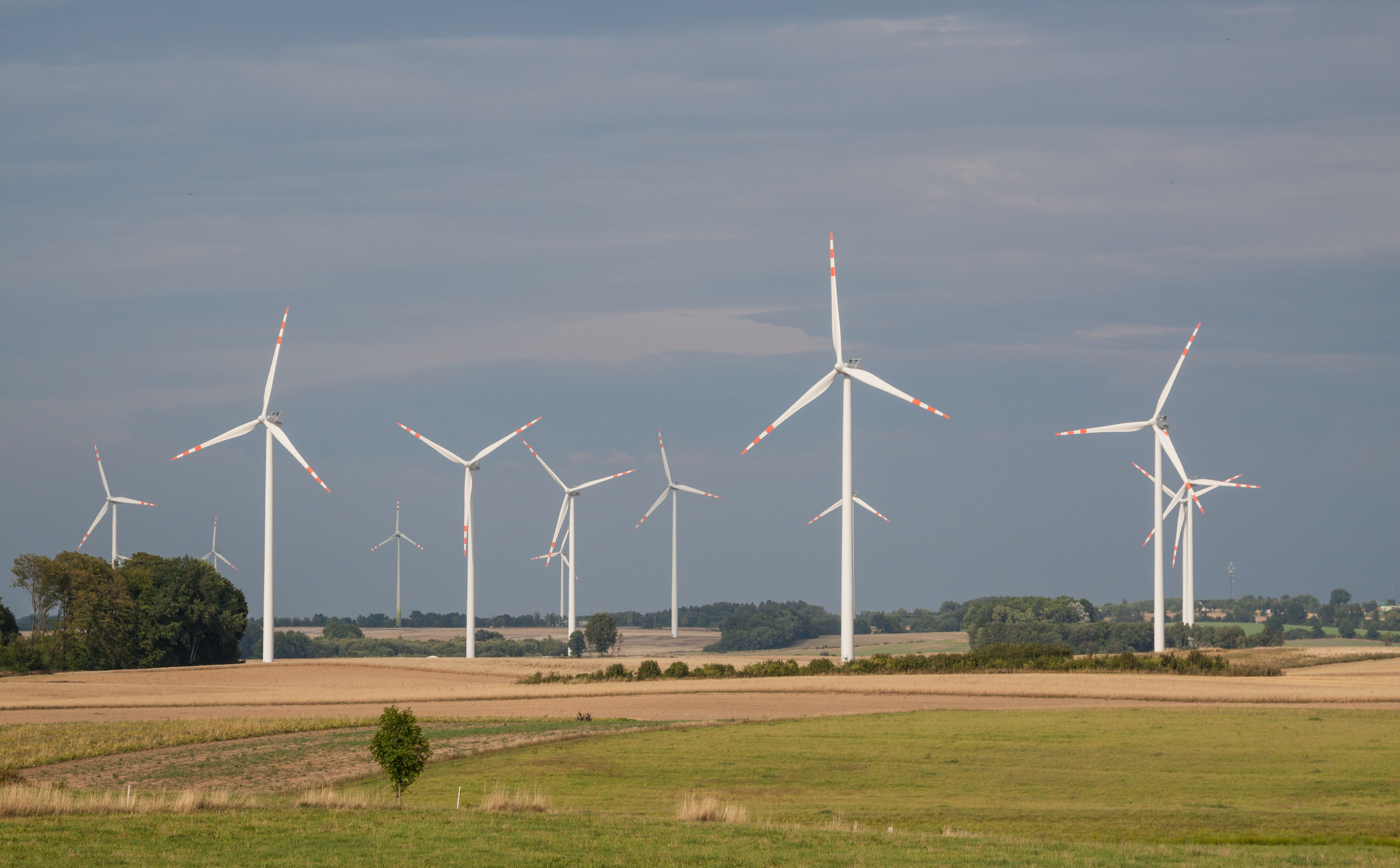 Koniec wiatrowego sporu między Polenergią a Tauronem. Ugoda warta pół miliarda