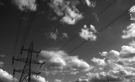 Tauron, będący drugim co do wielkości graczem w branży energetycznej w Polsce (po PGE), za mniej wię