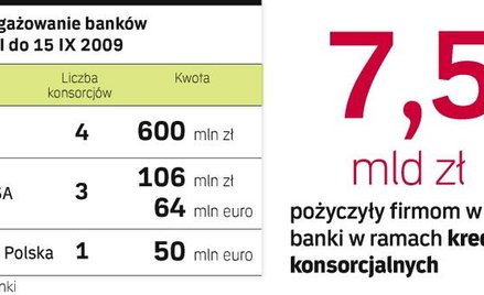 Uczestnictwem w kredytach konsorcjalnych zainteresowanych było zwykle od 10 do 15 banków.