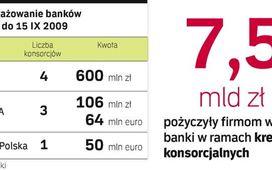 Uczestnictwem w kredytach konsorcjalnych zainteresowanych było zwykle od 10 do 15 banków.