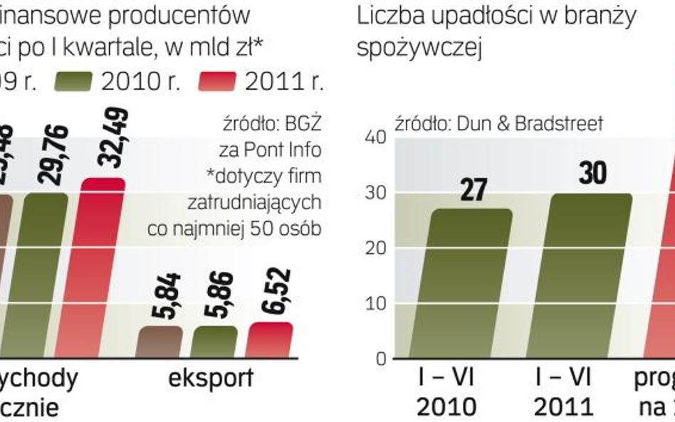 Duże firmy z branży mają 265 tys. pracowników