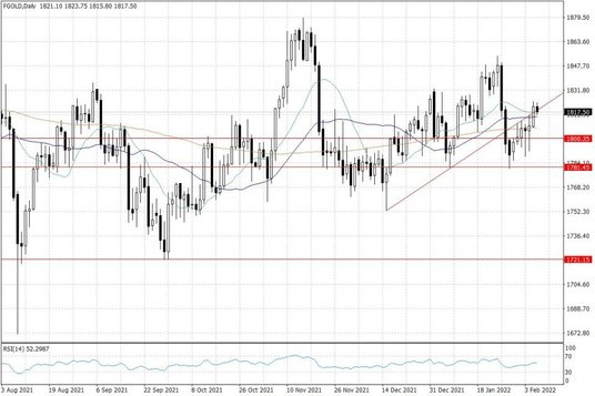 Notowania złota – dane dzienne